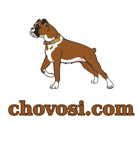 chovosi.com